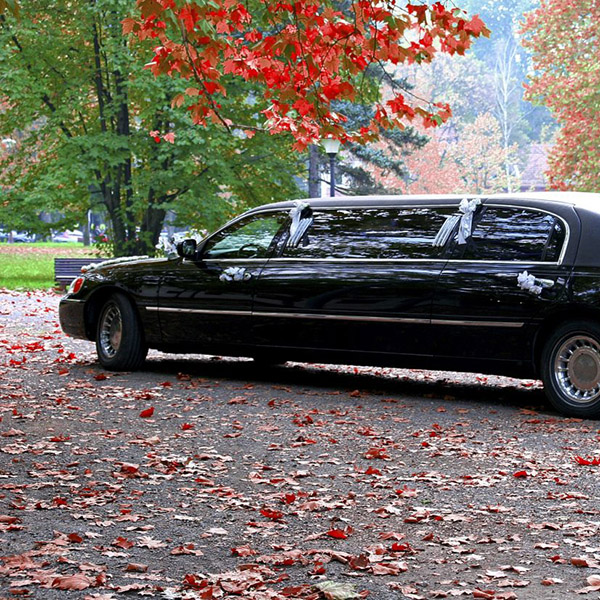 Limousine with spring theme